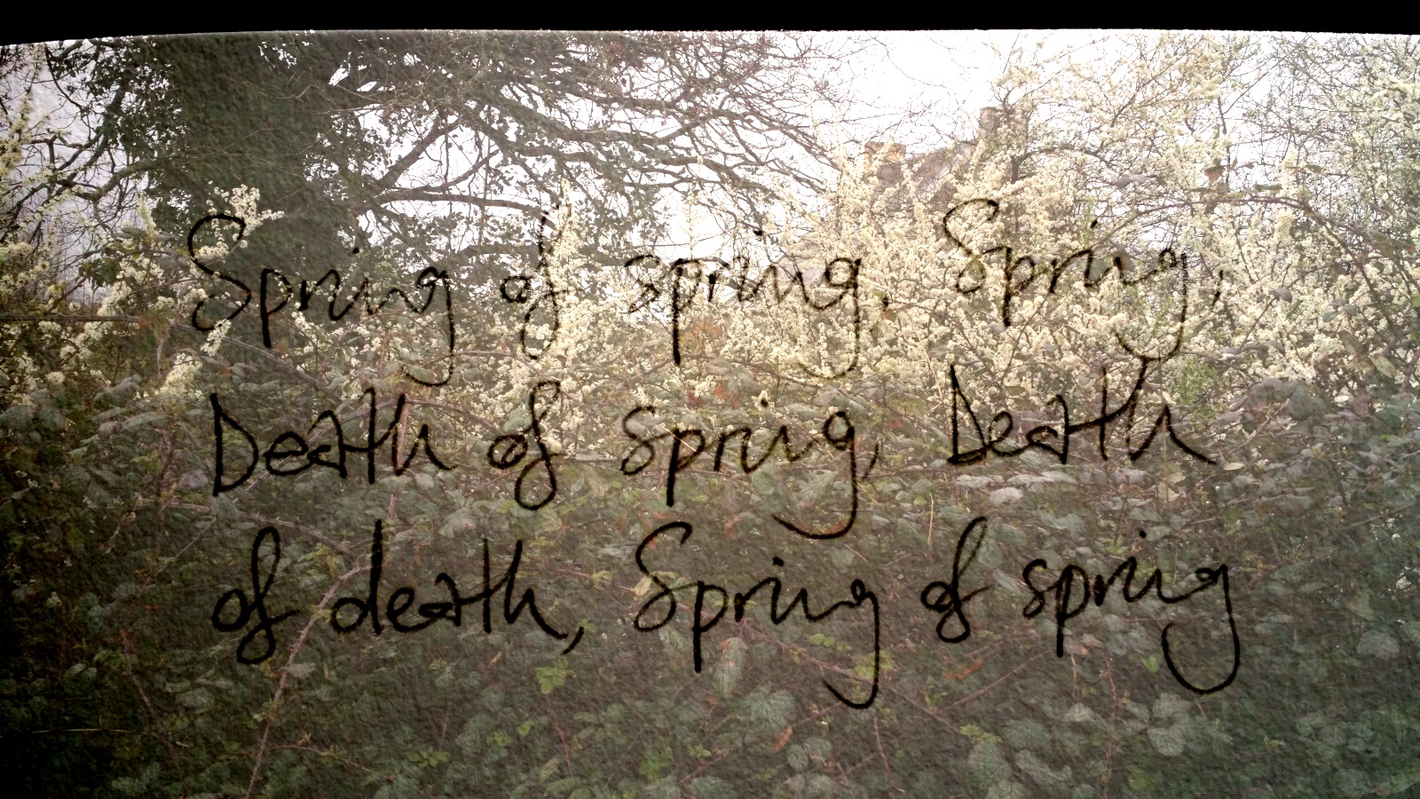 Spring of spring, Spring, | Death of spring, Death | of death, Spring of spring