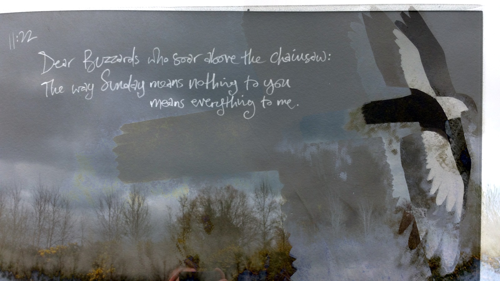 Dear Buzzards who soar above the chainsaw: | The way Sunday means nothing to you | means everything to me.