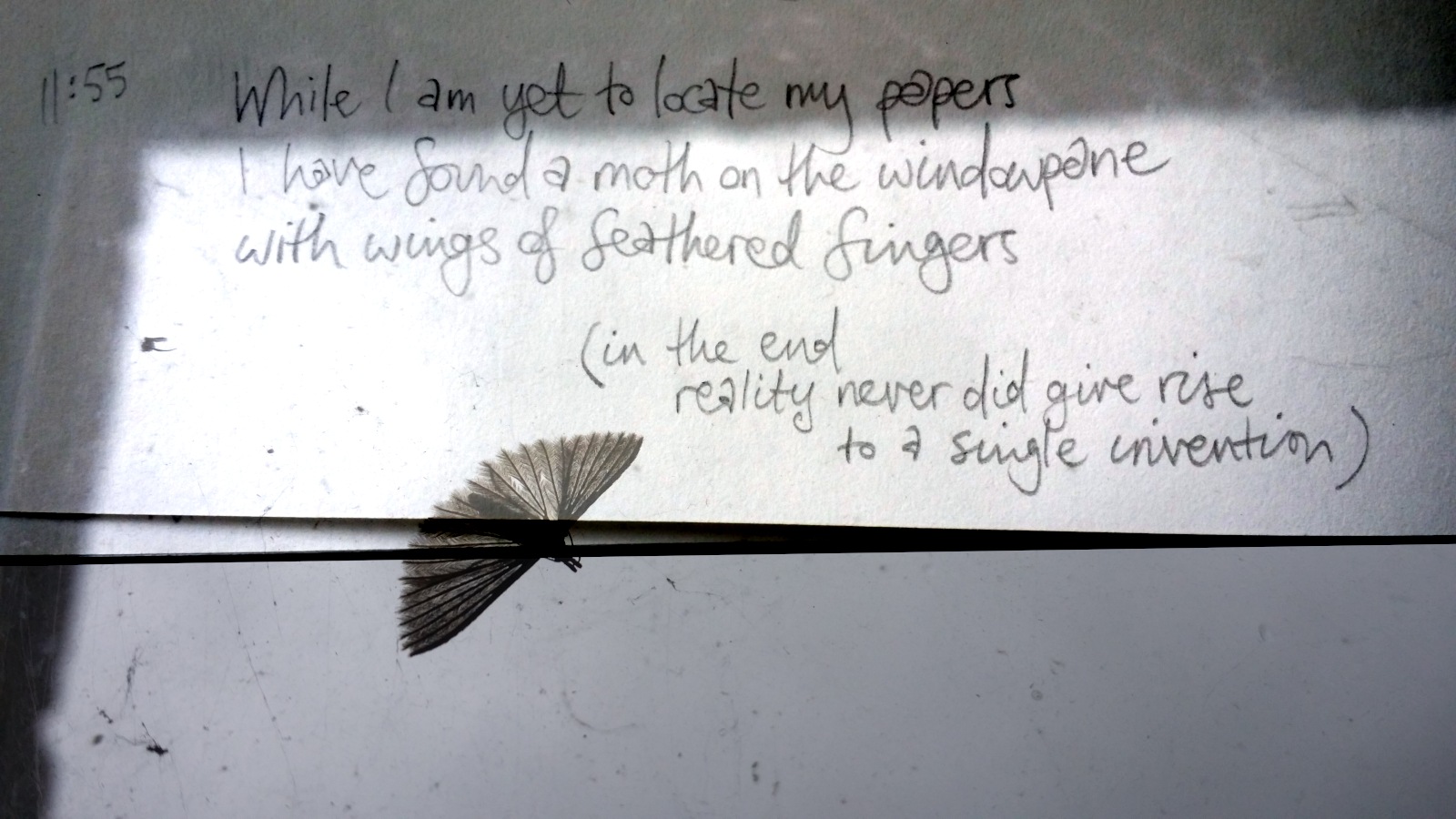 While I am yet to locate my papers | I have found a moth on the windowpane | with wings of feathered fingers || (in the end reality never did give rise to a single invention)